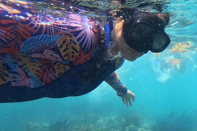 1.5 hours Snorkeling at Tulum's paradise reef - Snorkeling at Tulum’s paradise reef: gear, life jackets, and what you’ll look for