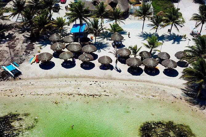1 Day Costa Maya All Included Beach Break - Seaweed and the coastline: plan for the real Costa Maya conditions