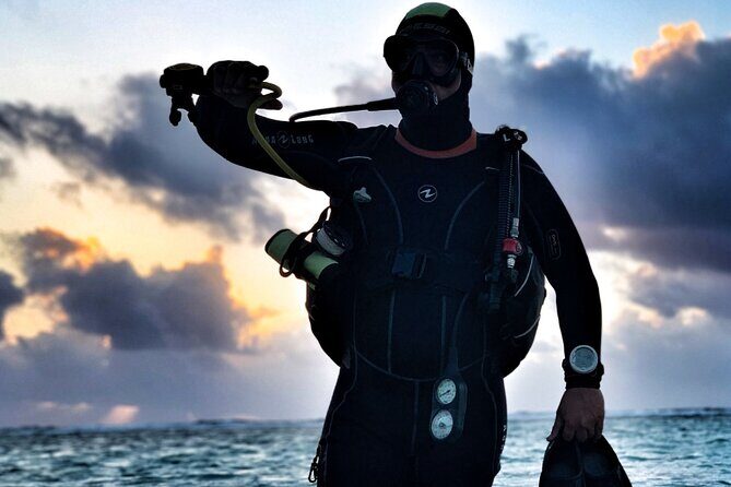 1 Tank Dive for certified divers - Costa Maya’s reef: why this SCUBA outing makes sense