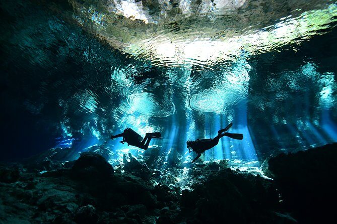 2 dives in Cenote Dos ojos Certified Divers - Key things that make this outing worth your time