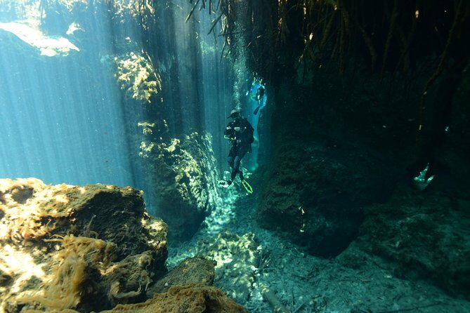 2 dives in Cenote Dos ojos Certified Divers - Getting there: the 8:30 am start and how the day flows