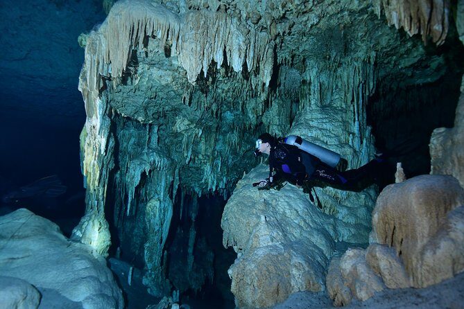2 dives in Cenote Dos ojos Certified Divers - Snacks, lunch, and the second cenote choice (Stop 2 around Agua Clara)