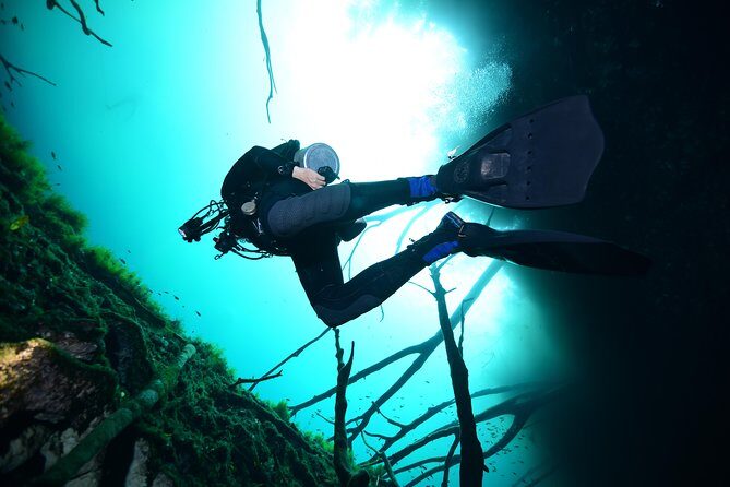 2 dives in Cenote Dos ojos Certified Divers - FAQ