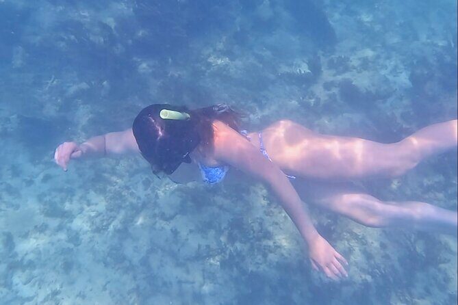 2-Hour Snorkeling in Two Spots of Tulum's Reef - Snorkel Spot Two: Reef Fish and Coral Conditions