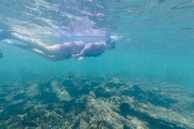 2-Hour Snorkeling in Two Spots of Tulum's Reef - Gear and the Boat Ride: Snorkel Equipment, Small-Vessel Motion