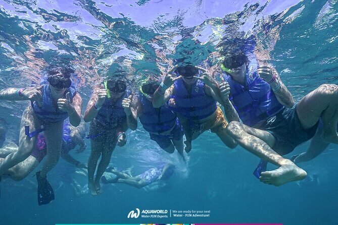 2-Hour Snorkeling Paradise Reef in Cancún Underwater Museum - Key highlights worth your attention