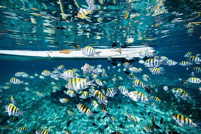 2 in 1 Parasail Cancun and Jet ski - Safety and staff: what to watch for during setup