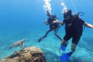 2 Tank Cozumel Reef Boat Dives - Between Tanks: Snacks Onboard Beat the Usual Hunger Gap