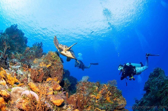 2 Tank Cozumel Reef Boat Dives - Value for $179.21: Why the Package Price Adds Up
