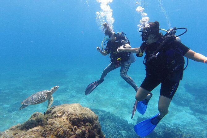 2 Tank Cozumel Reef Boat Dives - Between Tanks: Snacks Onboard Beat the Usual Hunger Gap