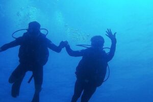 2 Tank Dive (for certified divers) - Two tank plan for certified divers: what the day feels like
