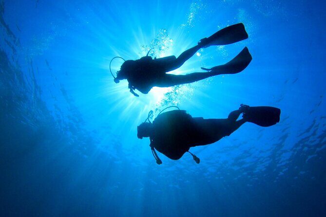 2 Tank Dive (for certified divers) - The reef itself: finger formations, canyons, and real marine life odds