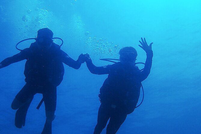 2 Tank Dive (for certified divers) - Two tank plan for certified divers: what the day feels like