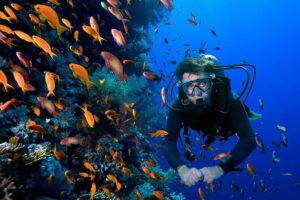 2 Tank Dive in Cozumel - Aqua Excursions and what your morning feels like