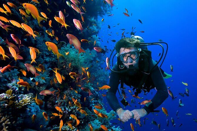 2 Tank Dive in Cozumel - Aqua Excursions and what your morning feels like