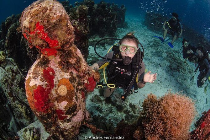 2 Tank Dives MUSA and Manchones reef (Certified divers) - MUSA: the underwater museum that doubles as habitat