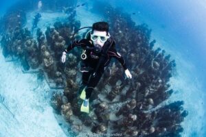 2 Tank Dives MUSA and Manchones reef (Certified divers) - Two sites, two moods: MUSA and Manchones reef