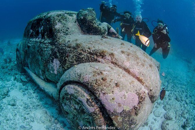 2 Tank Dives MUSA and Manchones reef (Certified divers) - Meet-up, timing, and staying stress-free in Plaza Isla Mujeres