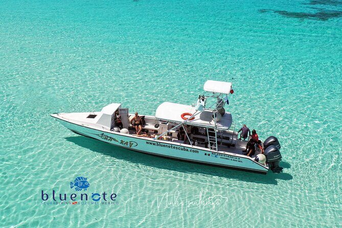 2 Tank Morning Dive: Scuba Diving in Cozumel - Quick Takes: What Makes This Trip Feel Worth It