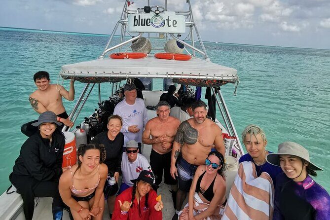 2 Tank Morning Dive: Scuba Diving in Cozumel - The Full 2-Tank Flow: What Happens Between the Two Reefs