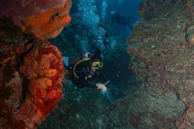 2 Tank Morning Dive: Scuba Diving in Cozumel - Reef Highlights You’ll Actually Care About: Santa Rosa Wall and Beyond