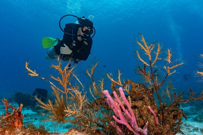 2 Tank Morning Dive: Scuba Diving in Cozumel - Boat Comfort Details: Bathroom, Change Area, and Shade