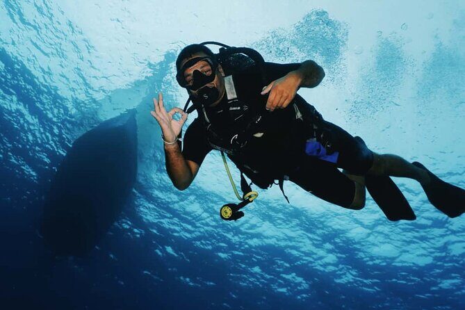 2 Tank Morning Dive: Scuba Diving in Cozumel - Guides, Safety, and the Right Kind of Attention Underwater