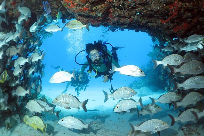 2-Tank Morning or Afternoon Dives in Playa del Carmen certified Divers Only - What the $89 Price Covers (And What Costs Extra)