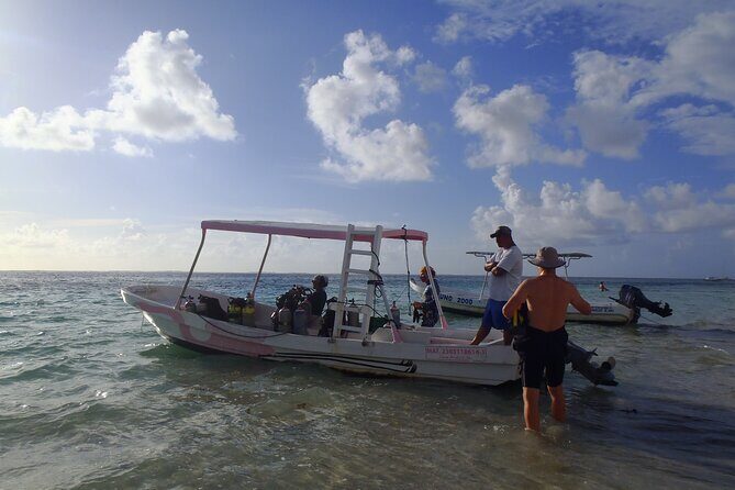 2 Tank Reef Dive in Mexico - Check-In Timing: Pick 8:30 AM or 12:30 PM Like a Pro