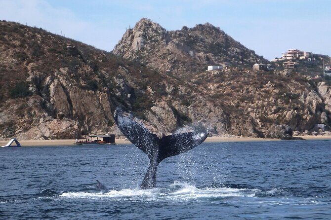 2-Tank Scuba in Marine Reserve and Corridor for Certified Divers - Price and value: why $165 works better than it sounds