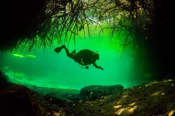 2 tanks Cenote Diving Adventure in Tulum for Certified Divers - Meeting La Calypso, Gear Up, and Start on Time