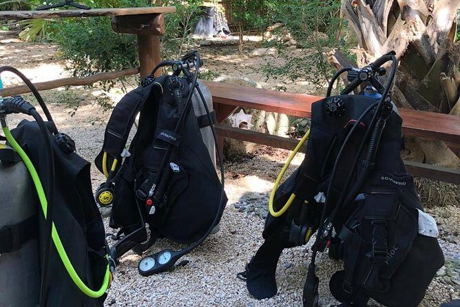 2 tanks Cenote Diving Adventure in Tulum for Certified Divers - Why This 2-Tank Plan Works: Small Group Attention