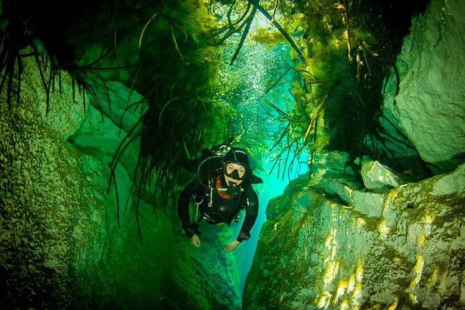 2 tanks Cenote Diving Adventure in Tulum for Certified Divers - What You’re Paying For (and Why It Feels Fair)