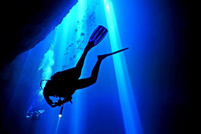 2 tanks Cenote Diving Adventure in Tulum for Certified Divers - Who Should Book This (and Who Should Skip It)