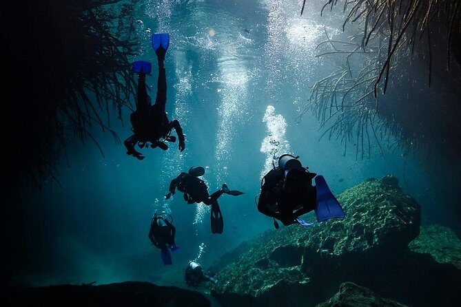 2 tanks Cenote Diving Adventure in Tulum for Certified Divers - Timing, Comfort, and Real-World Expectations
