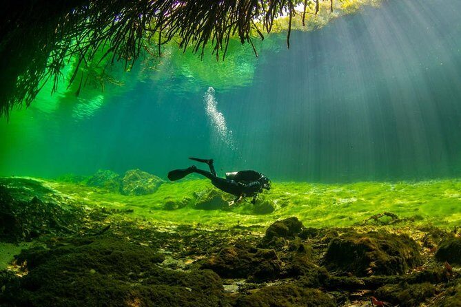 2 tanks Cenote Diving Adventure in Tulum for Certified Divers - Should You Book This Tulum 2-Tank Cenote Adventure?