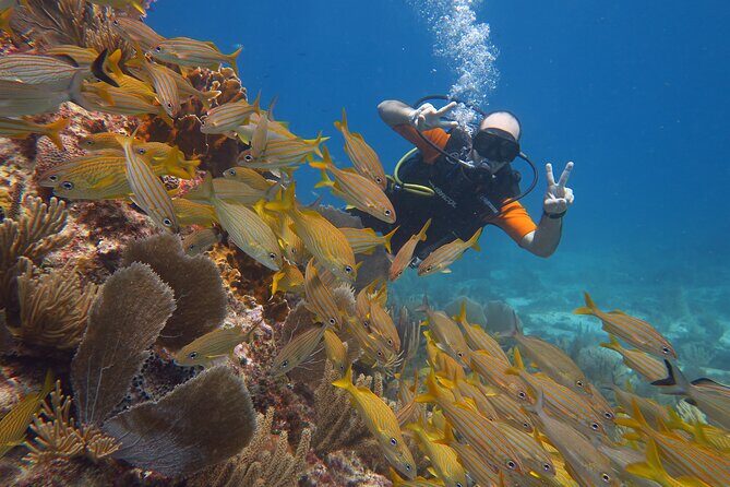 2 Tanks Dives Cancun Underwater Museum for Certified Divers - Safety screening and who must not participate