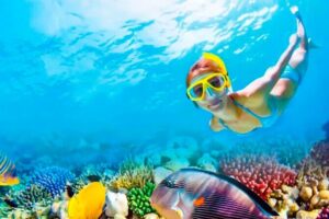 2x1 Tour: Isla Contoy, Isla Mujeres, Open Bar, Lunch and Transfers - Getting There: Playa del Carmen pick-up and the pace of the day