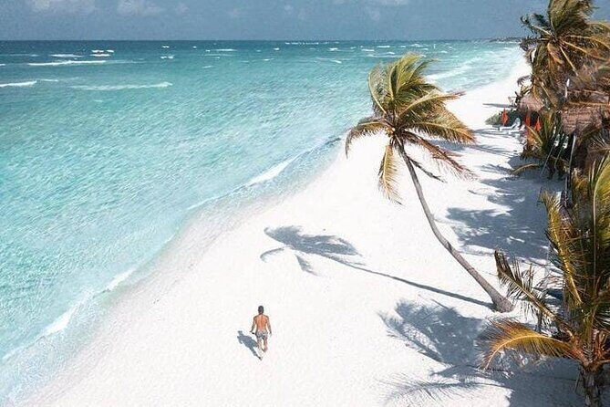 2x1 Tour: Isla Contoy, Isla Mujeres, Open Bar, Lunch and Transfers - Stop 1: Isla Contoy snorkelling with reef time that’s the whole point