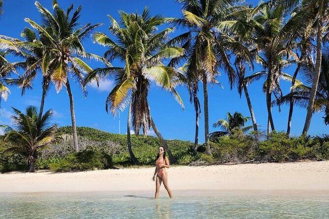 2x1 Tour: Isla Contoy, Isla Mujeres, Open Bar, Lunch and Transfers - Stop 3: More Isla Contoy time for birds, calm water, and easy swimming