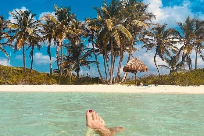 2x1 Tour: Isla Contoy, Isla Mujeres, Open Bar, Lunch and Transfers - What the guide adds (and what the best day looks like)