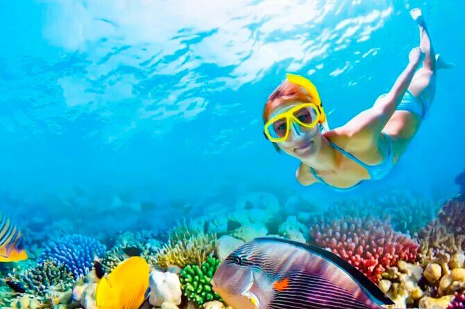 2x1 Tour: Isla Contoy, Isla Mujeres, Open Bar, Lunch and Transfers - Getting There: Playa del Carmen pick-up and the pace of the day