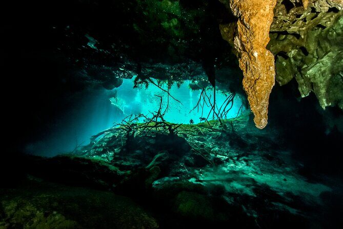 3 Cenote Dives - Casa & Dos Ojos - Safety, guide style, and the small-group advantage