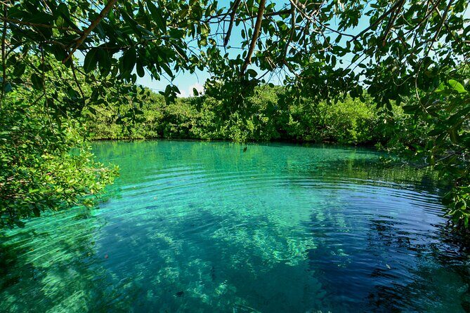 3 Cenote Dives - Casa & Dos Ojos - Who should book this Casa and Dos Ojos day plan