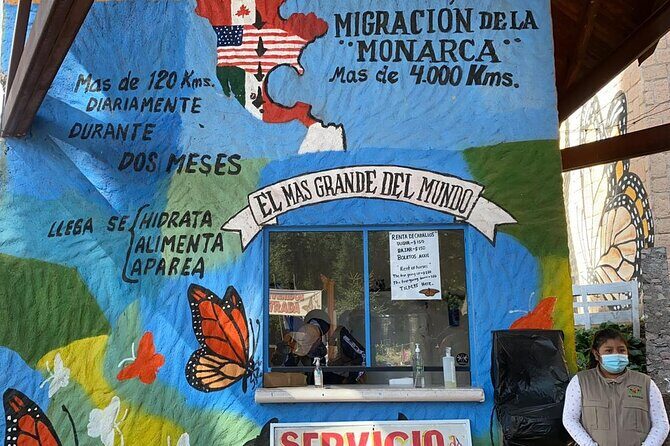 3-Day Private Guided Tour of Monarch Butterflies in Michoacan - Why Monarch Butterflies Over Michoacán Feel Like a Time Machine