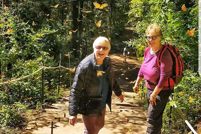 3 day Tour to Discover the Magic of Mexico & Monarch Butterflies - Day 2: El Rosario Monarch Butterfly Sanctuary and the oyamel conservation moment