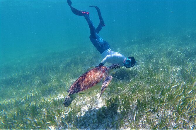 3 Hour Costa Maya Snorkeling Excursion - La Leyenda ECO-TOURS - The Boat Ride: 25-Foot Pangas and Realistic Expectations