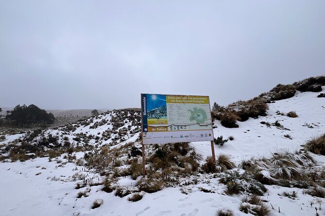 3 Hour Private Hike: Mountain Nevado Toluca from Mexico City - Your private guide: pacing, English, and practical mountain storytelling