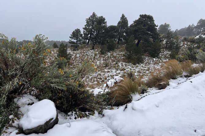 3 Hour Private Hike: Mountain Nevado Toluca from Mexico City - What you get for the day: included vs. you’ll need to bring more