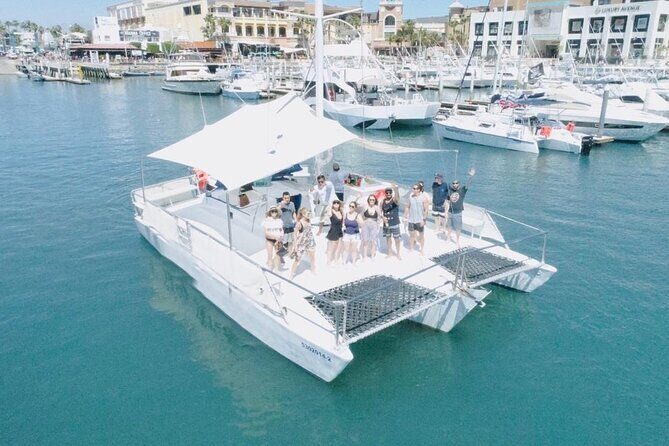 3 hour Snorkeling and Catamaran in Cabo San Lucas - Whale Sightings and Sea Life: What You Might See on the Way